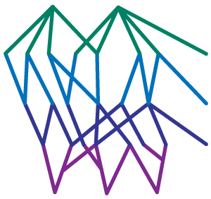 Developmental web