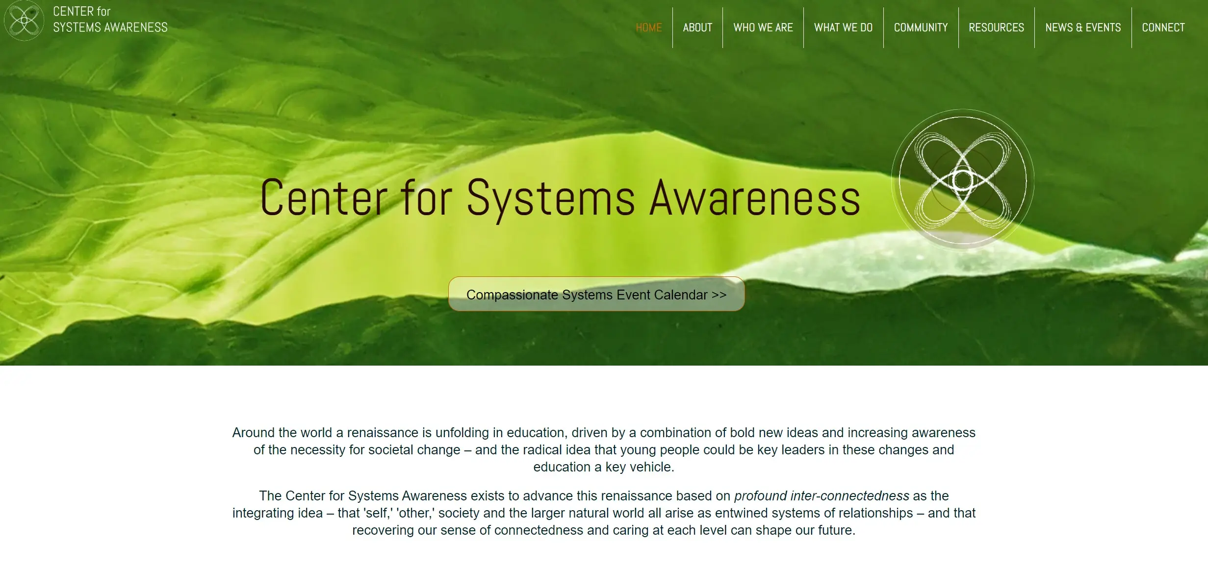 assets/centerforsystemsawareness.webp